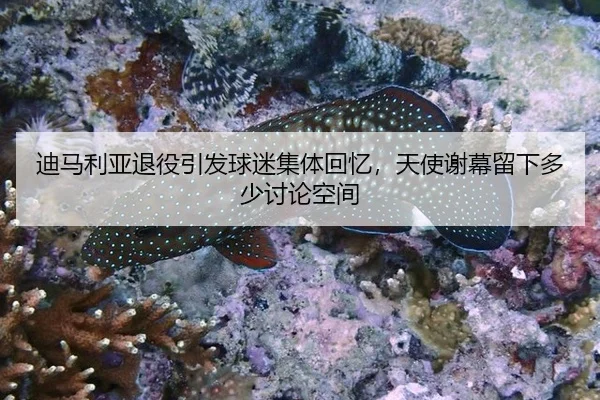 迪马利亚退役引发球迷集体回忆，天使谢幕留下多少讨论空间